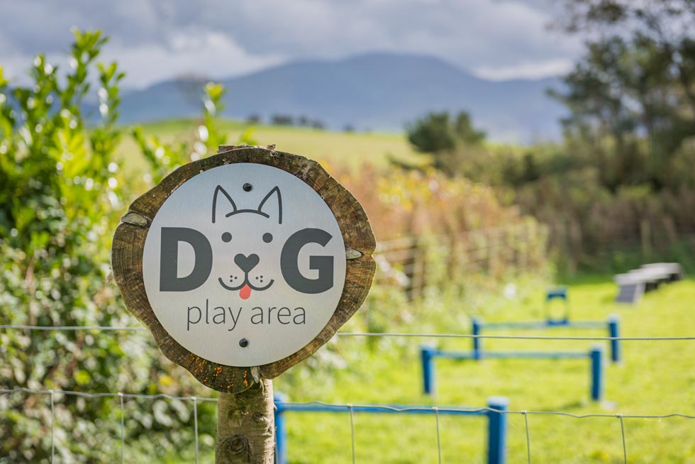 Dog Play Area