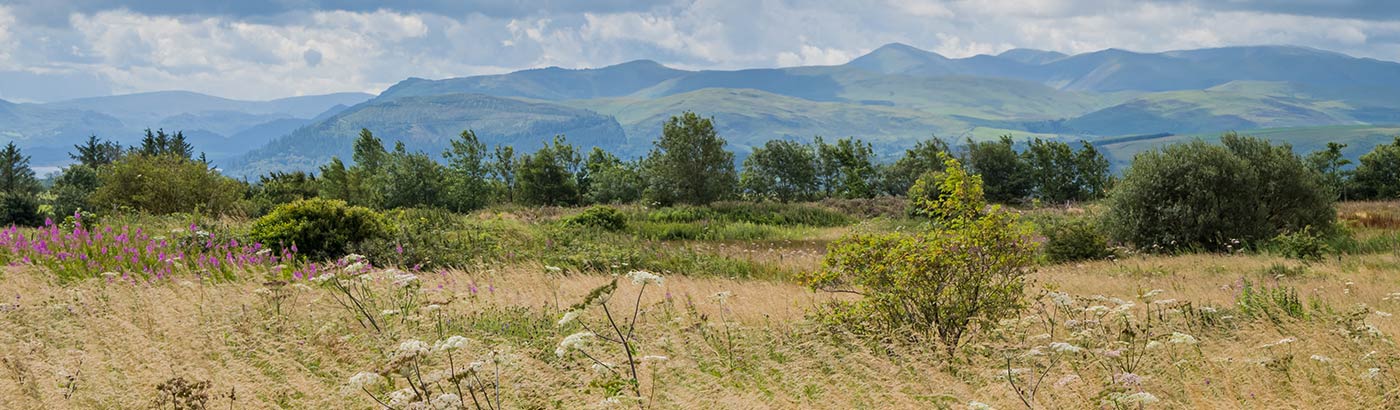 Local Area around Skiddaw View Holiday Park