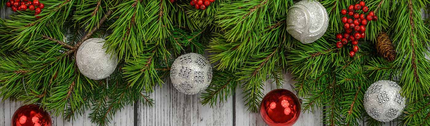 Christmas & New Year Availability at Skiddaw View Holiday Park