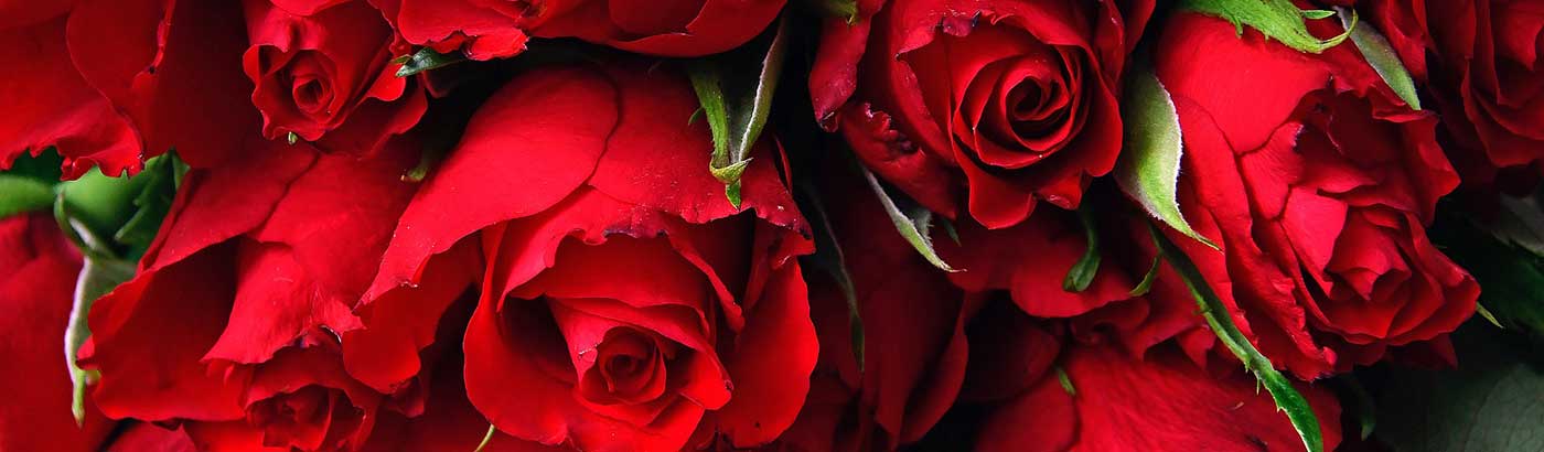 Valentines Breaks at Skiddaw View Holiday Park