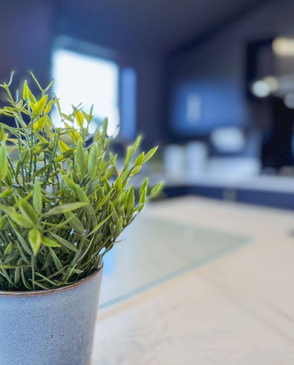 Blackthorn Lodge for hire Lake District, Cumbria