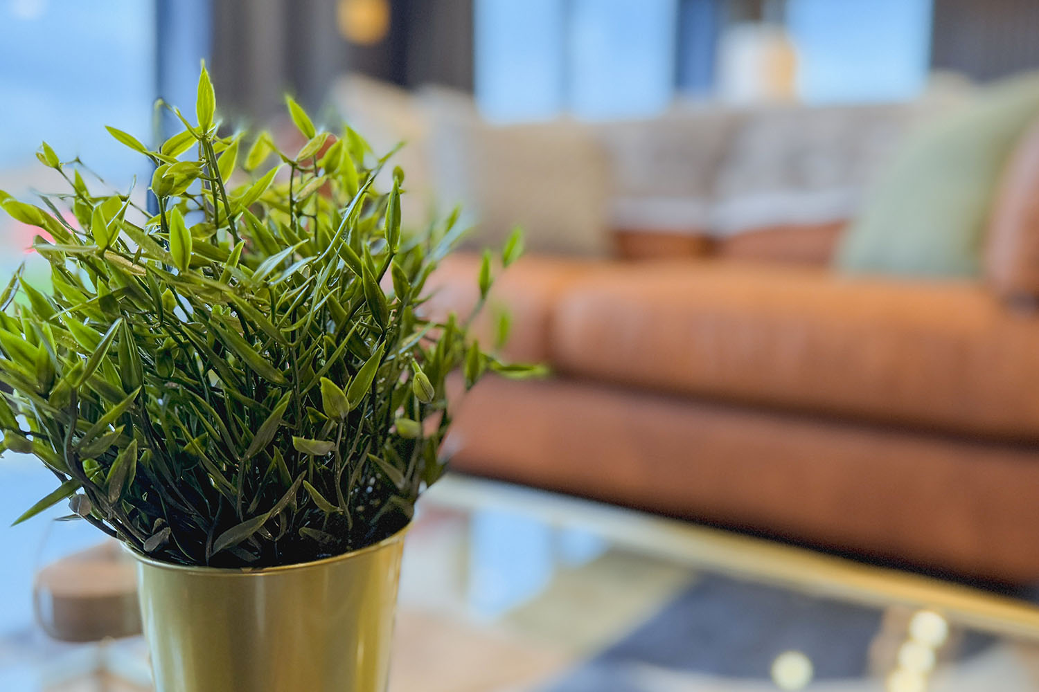 Blackthorn Lodge for hire Lake District, Cumbria