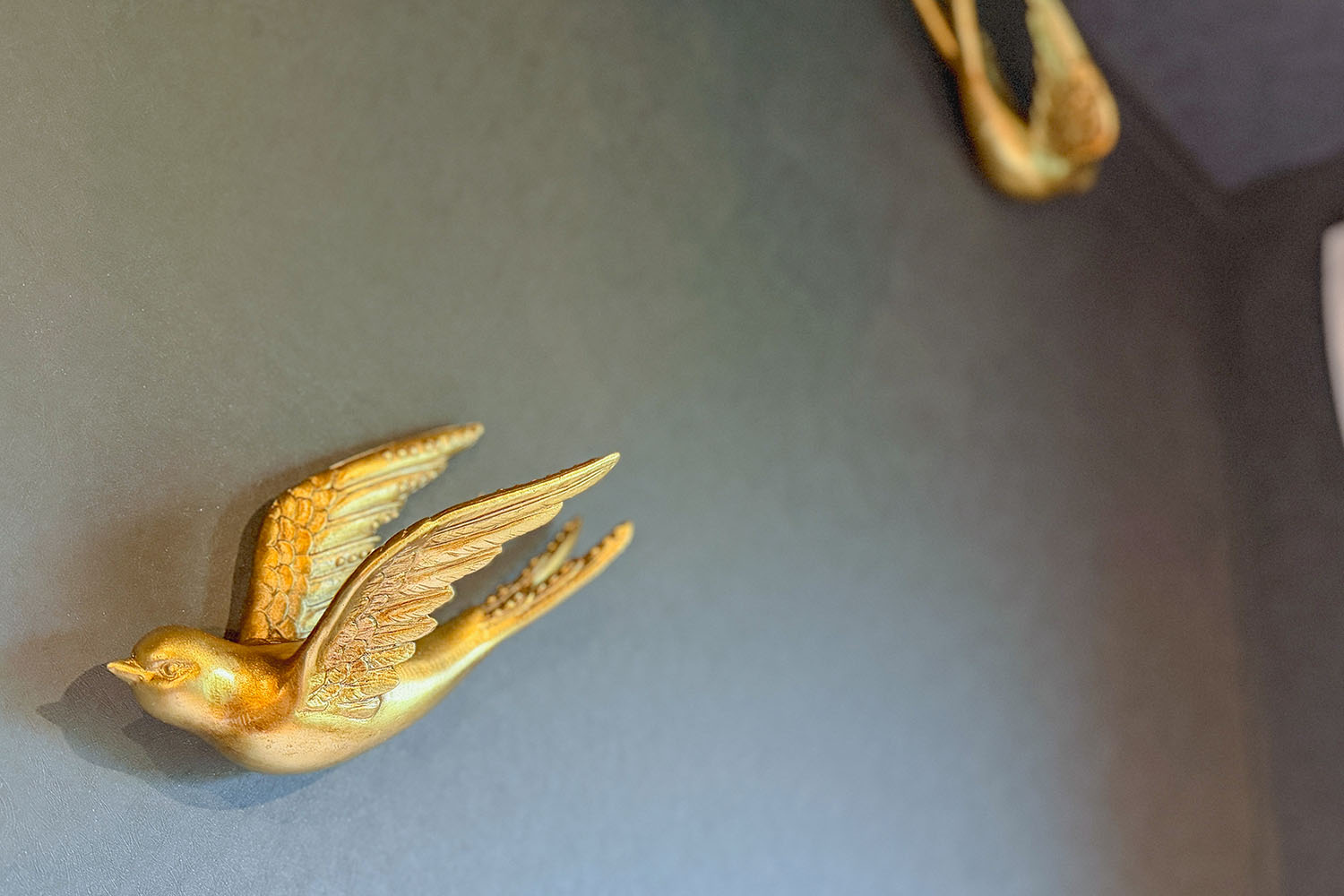 Blackthorn Lodge for hire Lake District, Cumbria